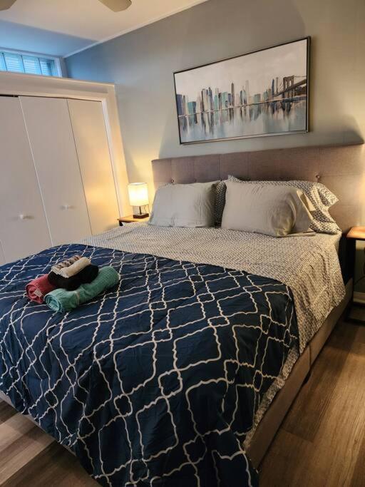 Blue Shark *w7* @ Montrose 1br Private King Loft Apartment